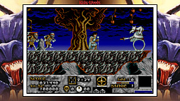 Risky Woods (QUByte Classics)