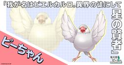 ꡼ No.004 | ڤȥԡ ߥåɥ饤եܥ塼