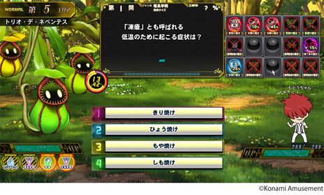 ꡼ No.007 | ꡼20ǯޤκǿɥ֥ޥåǥߡ ƻɸסƯ