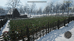 ꡼ No.005 | Medieval Dynasty