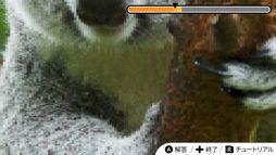 �ӥ��奢�륯��������ʡ����?���̿���Ǿ�ȥ�Ҥ�᤭�����������ࡼ