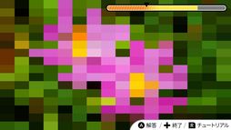 �ӥ��奢�륯��������ʡ����?���̿���Ǿ�ȥ�Ҥ�᤭�����������ࡼ