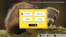 �ӥ��奢�륯��������ʡ����?���̿���Ǿ�ȥ�Ҥ�᤭�����������ࡼ