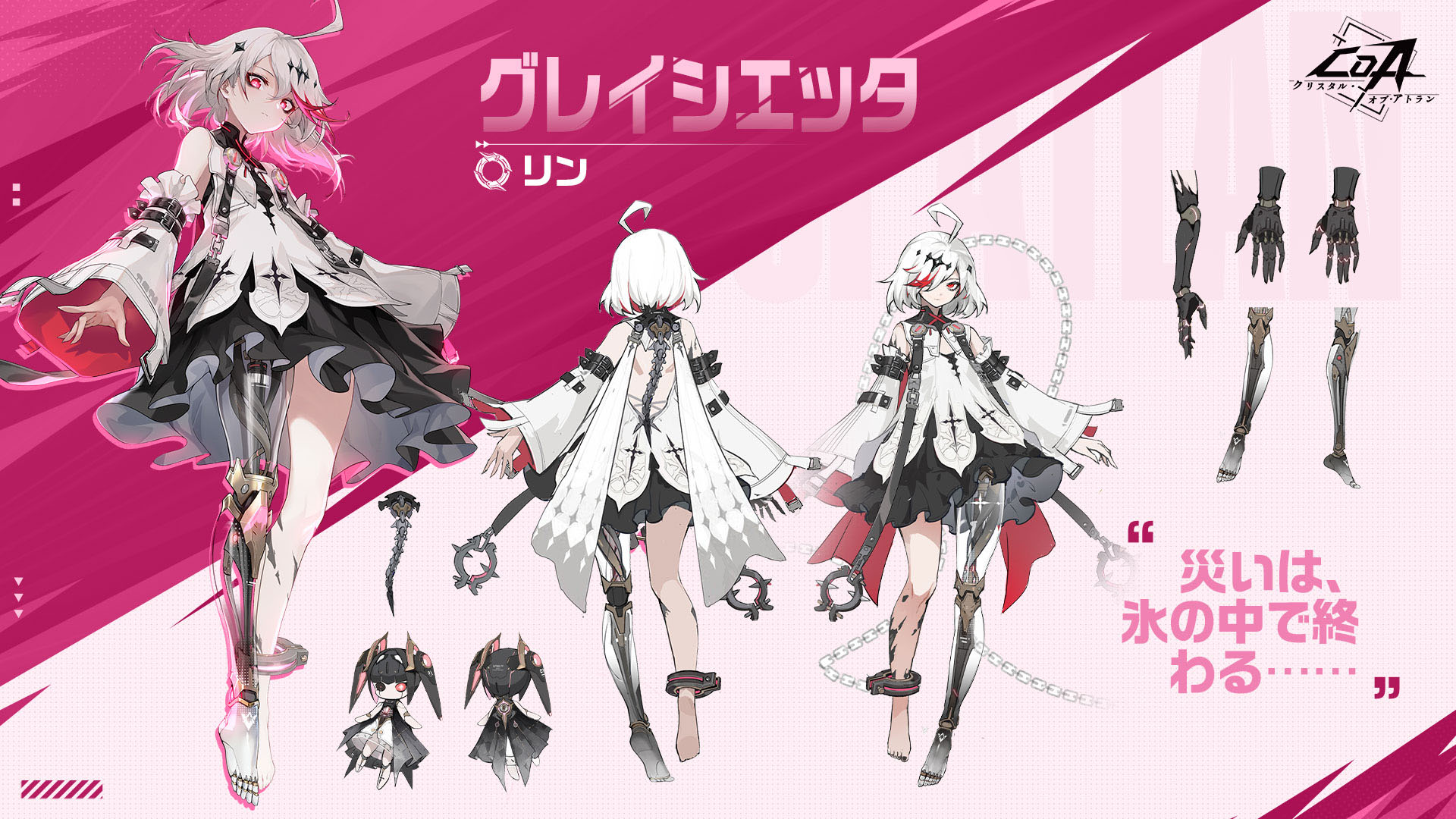 ꡼ No.002 | ֥ꥹ롦֡ȥסѥڥåƥοž֥쥤åפޥꥪͥåˤϢȹȤ臘