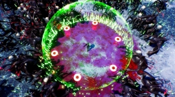 ꡼ No.005 | 饤STG֥꡼ɥɡס2ͥץ쥤⡼ɤɲáնǷ깭󥹥ȤֲХȥ