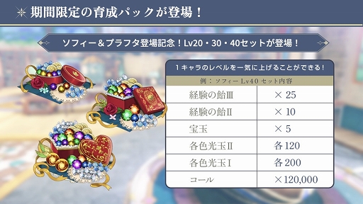 ꡼ No.005 | ֥쥹ꥢʤΥȥꥨס100ɤˡեȥץեԥååץ»