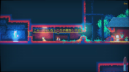 ꡼ No.005 | Dead CellsפΥꥨˤɥ֥˥塼ꥢ֥쥤סPS4ǤSwitchǤۿ