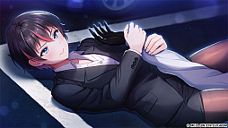 2045�����ꡣ