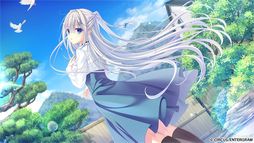 D.C.5 ������������5��