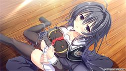 D.C.5 ������������5��