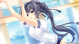 D.C.5 ������������5��