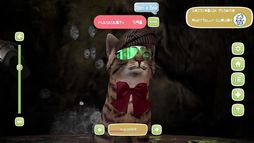 ���������꡼ No.005�Υ���ͥ������ / Windows���ɻ����餹ǭ�����򰦤Ǥ��Cat's Meow Live Wallpaper�ס�9��15����ȯ�䡣Steam���ȥ��ڡ��������