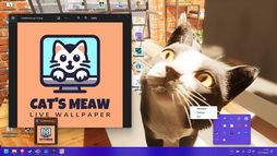 ���������꡼ No.008�Υ���ͥ������ / Windows���ɻ����餹ǭ�����򰦤Ǥ��Cat's Meow Live Wallpaper�ס�9��15����ȯ�䡣Steam���ȥ��ڡ��������