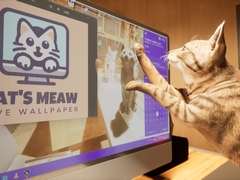Windows���ɻ����餹ǭ�����򰦤Ǥ��Cat\'s Meow Live Wallpaper�ס�9��15����ȯ�䡣Steam���ȥ��ڡ��������