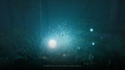 ꡼ No.012Υͥ / եɿä˥󥹥ѥ줿ۥ顼Lempoۿϡ꡼ǰ915ޤ10󥪥դ