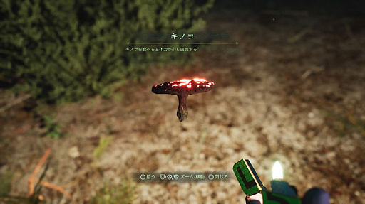 ꡼ No.009 | եɤ̱١ˤۥ顼LempoסʥݡˡPS5ǤΥ䤬Ȥ