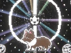 ��ǭ�����ߥå����ۥ顼������ǥ���Paw Paw Destiny�פΥ����꡼�����������������ȡ�9��19���ޤǥ�꡼����ǰ�������30�󥪥�