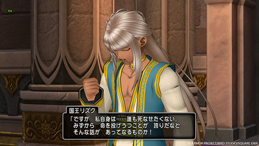 画像ギャラリー No.007のサムネイル画像 / 「ドラゴンクエストX 未来への扉とまどろみの少女 オンライン」,巨大な城と城下町を有するアマラーク王国や,キーパーソンの情報が公開に