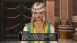 画像ギャラリー No.008のサムネイル画像 / 「ドラゴンクエストX 未来への扉とまどろみの少女 オンライン」,巨大な城と城下町を有するアマラーク王国や,キーパーソンの情報が公開に