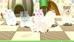 画像ギャラリー No.005のサムネイル画像 / ハムスター育成SLG「じゃんがりあん物語 でらっくちゅ」,本日発売。ゲーム本編と4つのダウンロードコンテンツをひとまとめに