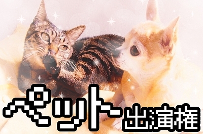 ꡼ No.006Υͥ / AIɤμĥư롣ĥץ3ơ֥ѡĥMAKER׻ư