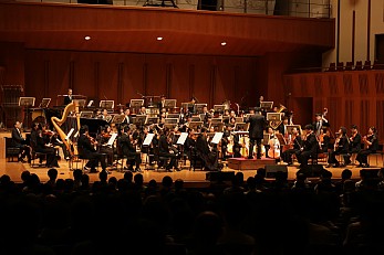 ꡼ No.007 | ֥  ӥɡפΥץ˥󥰶ʤդ줿֥ޥ󥷥  ȥ2023ͤݡ