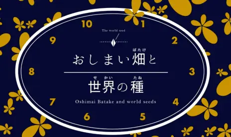 ꡼ No.011Υͥ / VRʥ।٥ȡ֥Сѡƥwithɡפ112326ޤǳšüԤ罸򳫻