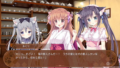 ꡼ No.009 | Switchǡ֤ޤ祳顼סθǤۿϡÿͤξƯեֵ㥻ꥢפ˷깭ADV