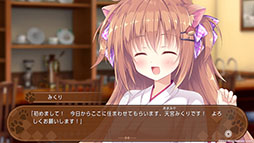 ꡼ No.011 | Switchǡ֤ޤ祳顼סθǤۿϡÿͤξƯեֵ㥻ꥢפ˷깭ADV