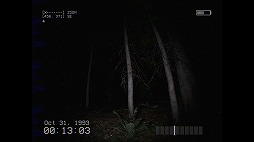 画像ギャラリー No.003のサムネイル画像 / 叫んでしまったらそこで終了。森の中を探索する短編ホラーゲーム「DON'T SCREAM」正式版をリリース。ローンチトレイラーを公開