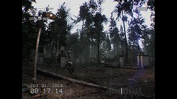 画像ギャラリー No.004のサムネイル画像 / 叫んでしまったらそこで終了。森の中を探索する短編ホラーゲーム「DON'T SCREAM」正式版をリリース。ローンチトレイラーを公開