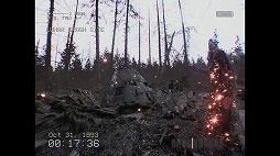 画像ギャラリー No.005のサムネイル画像 / 叫んでしまったらそこで終了。森の中を探索する短編ホラーゲーム「DON'T SCREAM」正式版をリリース。ローンチトレイラーを公開