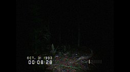 ꡼ No.002 | DON'T SCREAM