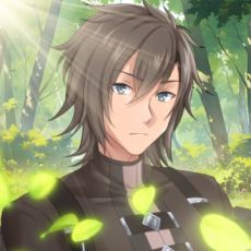 ꡼ No.009Υͥ / Lv2ȤäͦԸΤޤä饤աפˤMMORPGȯɽˡϿμդ򳫻