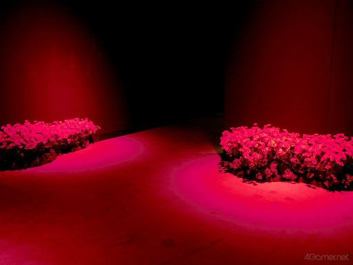 ���������꡼ No.018�Υ���ͥ������ / �֤����Ρ��ץ�󥹤��ޤâ�Dramatic Masterpiece Show���Ÿ���������ݡ��ȡ�HE��VENS���¤���������ˡ�Ȥ���������