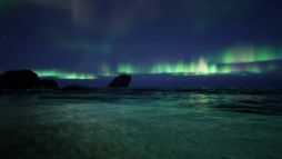 �ӡ����Х�������󥷥ߥ�졼����