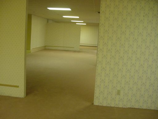 ���������꡼ No.006�Υ���ͥ������ / �ͥåȤ������ޤ줿�ǿ��ζ��ݤθ�ή��é��֥�ߥʥ륹�ڡ��� ���������ݤ����ءסʥ����ޡ��Τ���Υ֥å������ɡ���53���