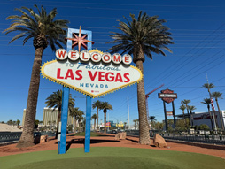 ���������꡼ No.002�Υ���ͥ������ / �֥ǥ��ӥ����פθ���ȯ�Ԥ������꤬����æ�Х��塼������Exoborne�ץץ�ӥ塼�����󥿥ӥ塼��Ũ�����Ǥʤ������ҳ��ˤ�ĩ��