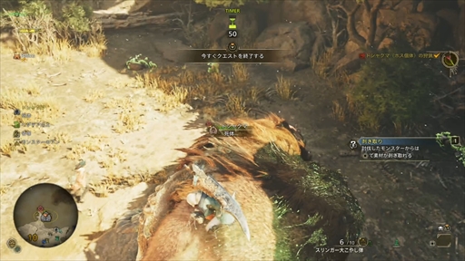 ���������꡼ No.027�Υ���ͥ������ / �֥�󥹥����ϥ󥿡��磻�륺�ץ�ǥ��������ϥ󥺥����ݡ��ȡ��Ѳ����٤���ե�����ɤǡ����������ܤμ��Ĥ��θ���