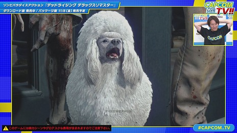 ���������꡼ No.007�Υ���ͥ������ / �֥�󥹥����ϥ󥿡��磻�륺�פΥޥ���ץ쥤�˼���ѹ�����ĩ��Х饨�ƥ����ȡ֥��ץ���TV��11��25��������ξ�������