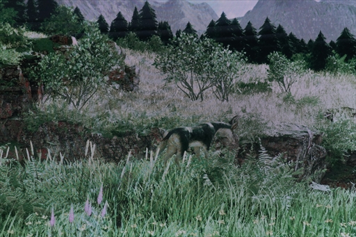 ꡼ No.008Υͥ / θƥġ֥󥹥ϥ󥿡 ֥åץǥθݡȡϥѤ塦ˤδǤ롪