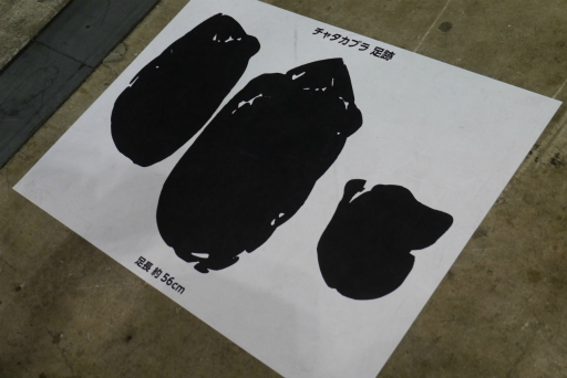 画像ギャラリー No.056のサムネイル画像 / 「モンスターハンターフェスタ'26」レポート。「ストーリーズ3」の新情報や,「ワイルズ」の一蘭コラボ,白熱の狩王決定戦など見どころ満載の1日