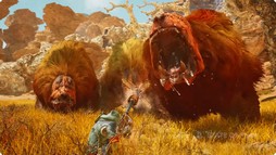 ꡼ No.005 | ֥󥹥ϥ󥿡磻륺פκǿȥ쥤顼ˡϥ󥿡Ʈ俷ƥ餷ưǧǤ