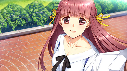 ꡼ No.016 | SwitchPS4ADVƱᥤCSverסǽ2֤ץ쥤ǽθǤƥȥǸ