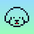 �ѥå�����