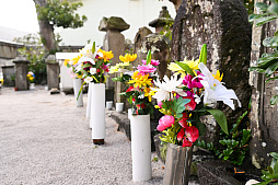 ���������꡼ No.021�Υ���ͥ������ / ͷ�Ӥʤ����������Τ������������ॢ�ץ�֤ޤ�äȡ�������פȤȤ�������Υ��˹ԤäƤ��ޤ�����PR��