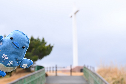 ���������꡼ No.024�Υ���ͥ������ / ͷ�Ӥʤ����������Τ������������ॢ�ץ�֤ޤ�äȡ�������פȤȤ�������Υ��˹ԤäƤ��ޤ�����PR��