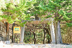 ���������꡼ No.027�Υ���ͥ������ / ͷ�Ӥʤ����������Τ������������ॢ�ץ�֤ޤ�äȡ�������פȤȤ�������Υ��˹ԤäƤ��ޤ�����PR��