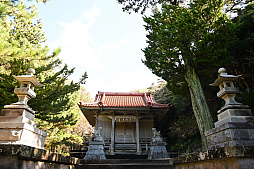 ���������꡼ No.028�Υ���ͥ������ / ͷ�Ӥʤ����������Τ������������ॢ�ץ�֤ޤ�äȡ�������פȤȤ�������Υ��˹ԤäƤ��ޤ�����PR��