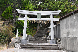 ���������꡼ No.029�Υ���ͥ������ / ͷ�Ӥʤ����������Τ������������ॢ�ץ�֤ޤ�äȡ�������פȤȤ�������Υ��˹ԤäƤ��ޤ�����PR��